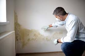 Best Industrial Mold Remediation  in Nashua, IA